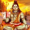 lord shiva calm phone wallpaper