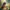 bal hanuman wallpaper 4k