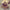 lord hanuman hd wallpaper abstract art